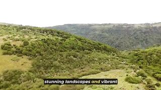 Discover Kenya Safari Capital of the World