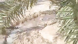 کھجور کے درخت  میں  پانی لگانے کا طریقع
