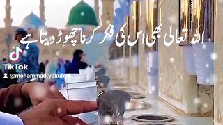 Viral #Video 23.1K #Grow #Account #ForYou #ForYouPage 11K #Team7Bro