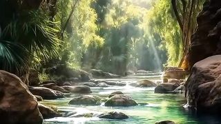 Amazing video
