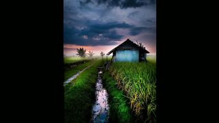 Nocturnal Ambiance: Captivating Nighttime Sounds in the Countryside