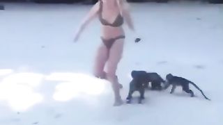 Funny monkey and people