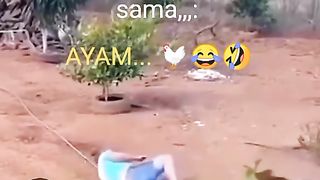 The strongest chicken in the world