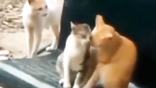 Apa yg kamu rasakan di posisi ini??