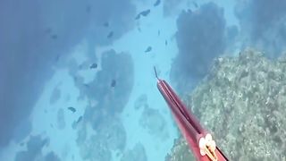Memanah ikan dilaut yang dalam