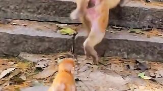 Learn to walk with mother
