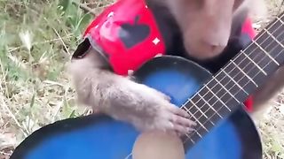 Entertainment first