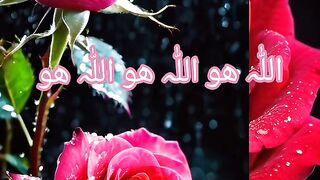 Allah Hu Allah Hu Allah Hu.