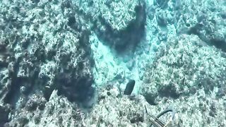 Memanah ikan dilaut yang dalam Part.2