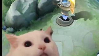 Only Tank Users Can Relate ???? #mobilelegends