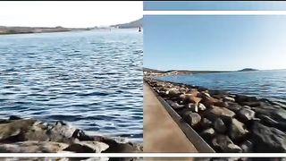 sea ​​waves