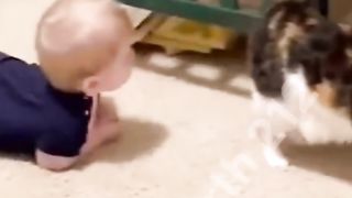 cat and kids