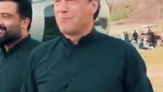 niazi lovers