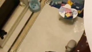 bagian 5| funny cats videos