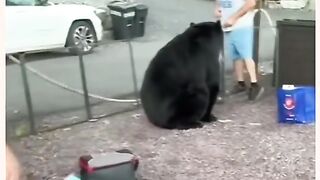Man Angry With Panda Viral Video