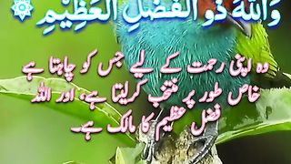 Allah Ki Shan | Surah Aal-i-Imran