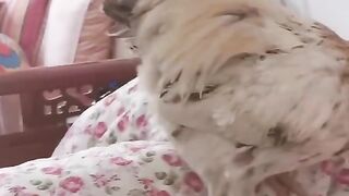 A very high-quality alarm clock