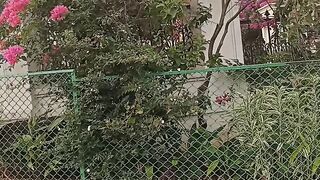 Beautiful view pune