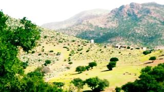 #jungle #silent taste#