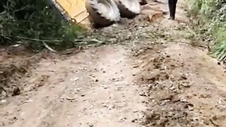 Almost to kill????