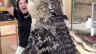 Here come "The Reptile"