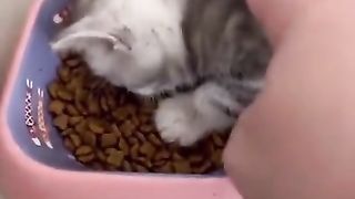 I got tired of eating and decided to take a nap