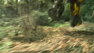 Transformer Robots - Blitz Wings VS Bees - 4K HD