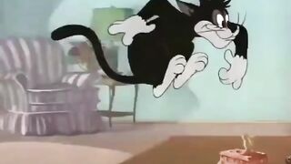 Tom and Jerry : Black Cat