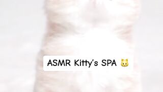 little cat is having a spa
