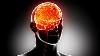 Human Brain Rotating Animation Graphic 3 Copyright Free 4K Video