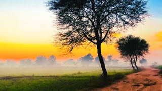 Evening Beauty of Nature | 4K Nature | Beautiful Sun View | Febspot Video