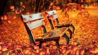 Falling Leaves Animation 4K - Free HD Stock Footage - No Copyright - Background Loop