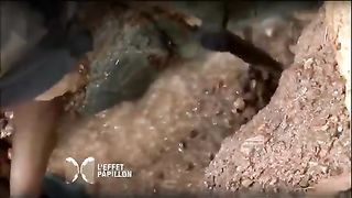 La guerre du Kivu (Congo) - L'Effet Papillon