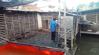 Utilizing Narrow Land to Farm Fish and Chickens