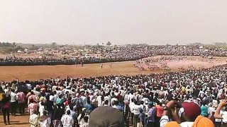Bull Race