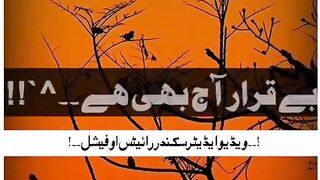 Short video