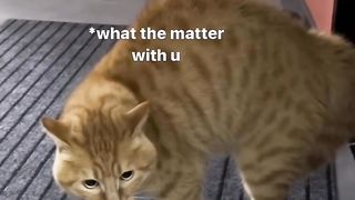 He needs something