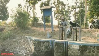 Prank crocodile