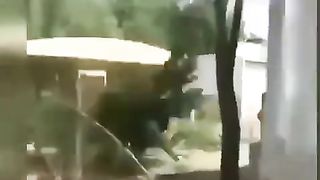 Funny comedy.. Don't try this at home