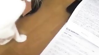 Cat scared of copy machine
