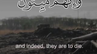 انك ميت و انهم ميتون