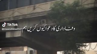"Whispers of Urdu Poetry: Aesthetic Verse"