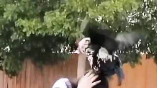 I have never seen such an angry chicken ????