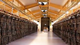 LE BITCOIN, C'EST QUOI ? COMMENT EN OBTENIR ? Explication !