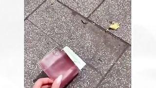 An Australian pizzeria company did this prank to masses in
