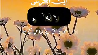 beautiful Quran recitation????
