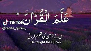 surah rahman in beautiful voice,