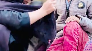 بیٹیاں تو اللہ کی طرف سے ایک تحفہ ہے