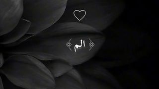 QARI ABDUL RHMAN MOSSAD ???? Tilawat Quran