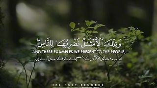Beautiful Quran recitation by shiekh abdur Rahman massod